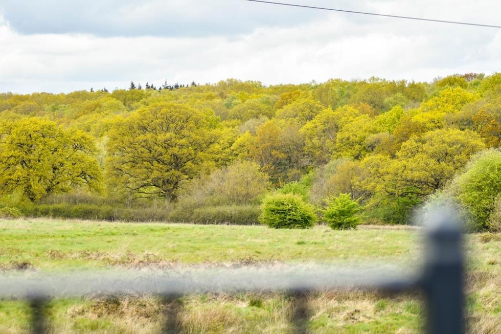 The Lookout At Cloatley Meadow *